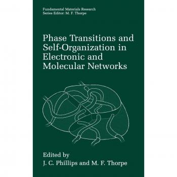 Springer Phase Transitions and Self-Organization in Electronic and Molecular Networks
