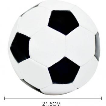 2022 Outdoor Soccer Ball
