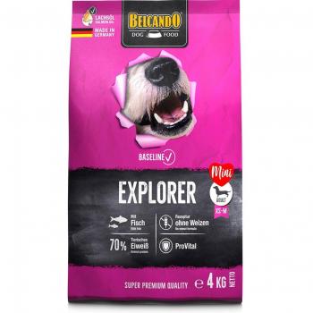 Belcando Baseline Explorer