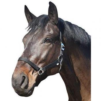 HorseGuard Black Nylon Horse Halter