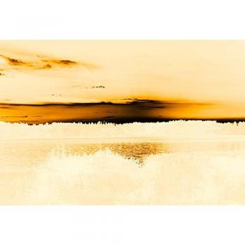 Tapisserie Panoramique Jaune et Beige