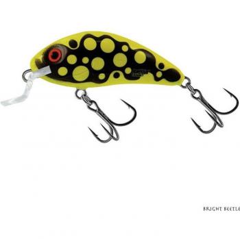 Salmo Rattlin Hornet Shallow 3,5cm