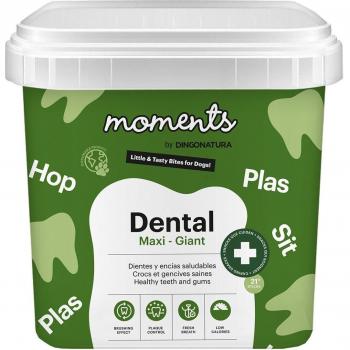 Moments Dental Raza Maxi