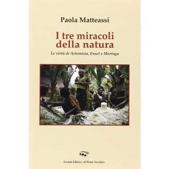 I tre miracoli della natura. Le virtù di Artemisia, Enset e Moringa