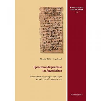 Sprachwandelprozesse im Ägyptischen: Eine funktional-typologische Analyse vom Alt