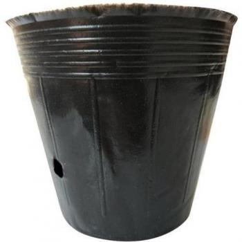 10pcs Black Garden Grow Bags for Plants
