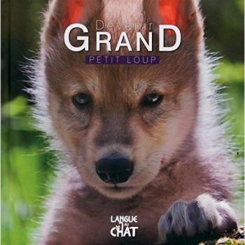 Petit loup