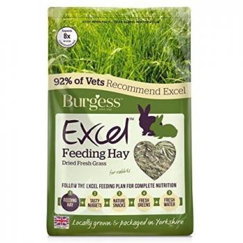 Burgess Excel Feeding Hay Dried Fresh Grass 1kg