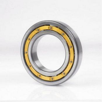 SKF 6044 M/C3 Radial Clearance Deep Groove Ball Bearing (Brass Cage)