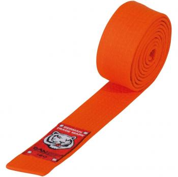 Child Budo Belt Danrho