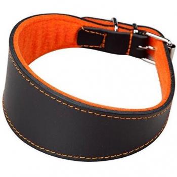 Lévrier Collier Arppe en cuir