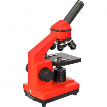 Kit de Laboratorio Doméstico Levenhuk Rainbow 2L Plus Orange para Niños STEM