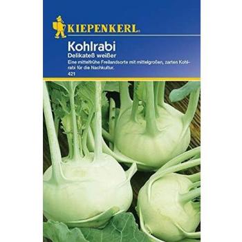 Cavolo Rapa Bianco Delikatess Kiepenkerl
