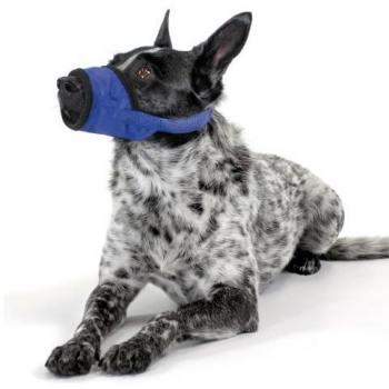 Correa Regulable de Nylon para Perros