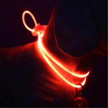 Collier d’alerte LED étanche, réglable, pour chiens et chiots