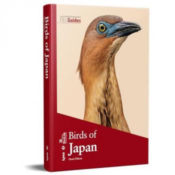 Birds of Japan