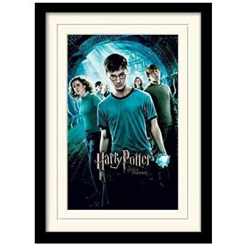 Œuvre murale 30x40 Harry Potter