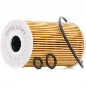 RIDEX PLUS Oljefilter Golf V och Touran