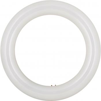 Bailey LED Ecobasic G10q 11W