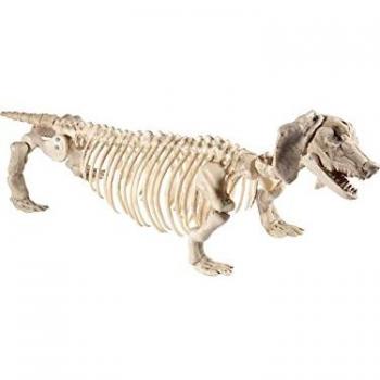 Natural Dachshund Skeleton Decoration
