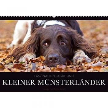 Faszination Jagdhund