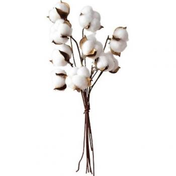 O.RoseLif Home Office Floral Vases