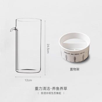 No Water Change Mini Fish Tank