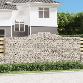Prolenta Premium