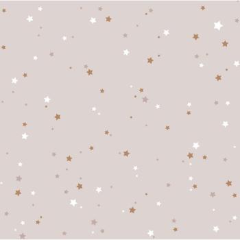 Baby Star Decor: Cinnamon Theme – One Pack