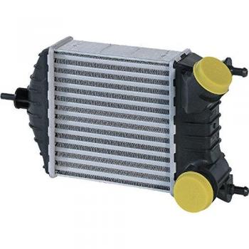 Intercooler FRIGAIR modelo 0704.3019