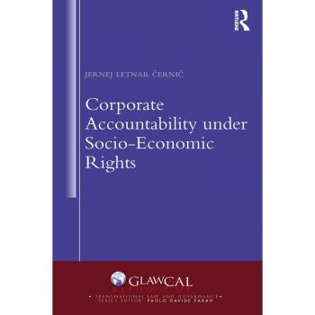 Corporate Accountability under Socio-Economic Rights