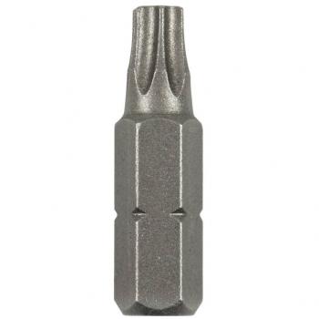 Inserto Torx T25 25mm 2 pz Bosch
