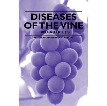 Diseases of the Vine