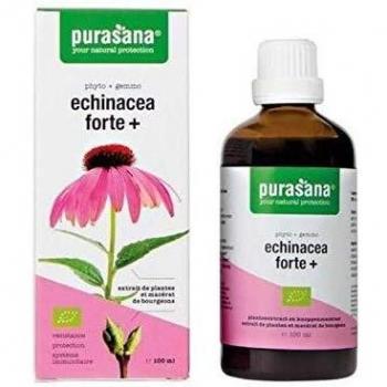 Echinacea Plus 50 ml