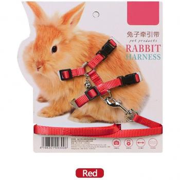 Arnés suave para conejillos de indias y chinchillas