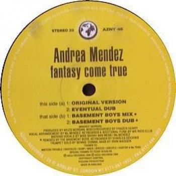 Disque 12 pouces ANDREA MENDEZ