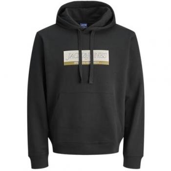 Jack & Jones Kapuzenpulli „JORINWOOD Block Branding“