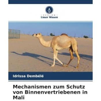 Mechanismen zum Schutz von Binnenvertriebenen in Mali