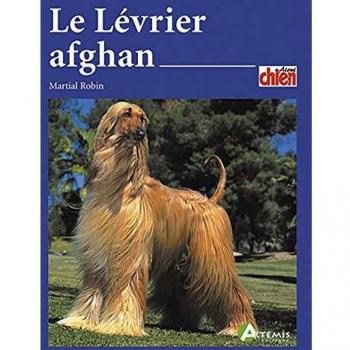 Le Levrier Afghan