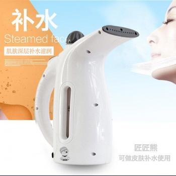 ITAS1203 Facial Steamer and Iron