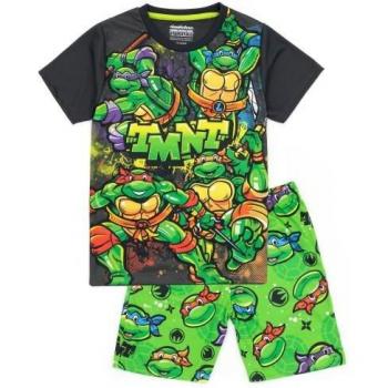 TMNT Boys Green Turtle Shorts Pajamas, 3 to 4 Year Olds