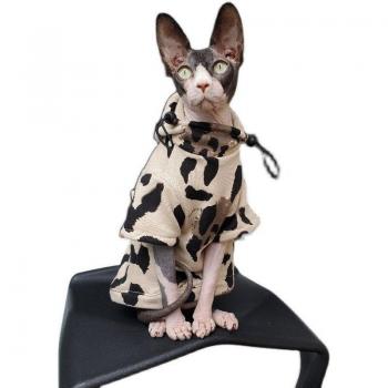 Vêtements tendance pour Sphynx