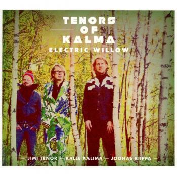 Electric Willow (Feat. Jimi Tenor & Kalle Kalima)