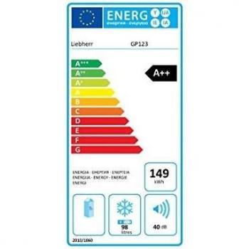 Congélateur Liebherr Top SmartFrost 98L Noir