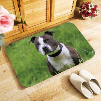 Alfombra de Entrada con Diseño Bullterrier Staffordshire 40x60cm