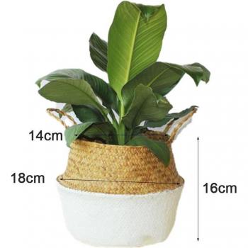 Panier en paille et rotin pour plantes d’intérieur