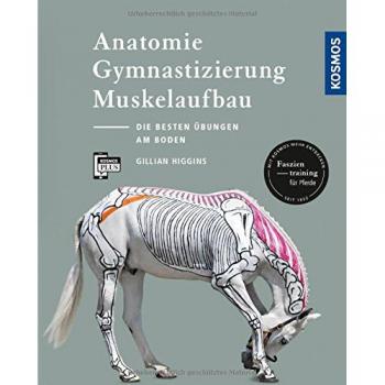 Higgins, Gillian: Anatomie, Gymnastizierung, Muskelaufbau