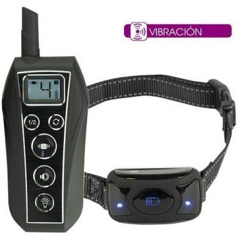 Collana Ibanez Vibration 600 – Educazione in Movimento