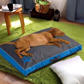 Paw Summer Dog Bed with Removable Cover