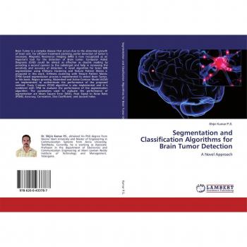 Segmentation and Classification Algorithms for Brain Tumor Detection